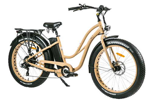 Fat bike assistance électrique