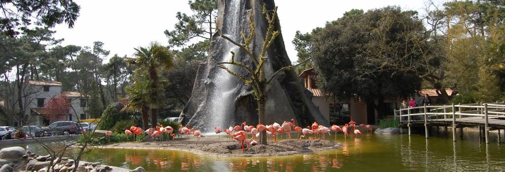 Zoo de La Palmyre